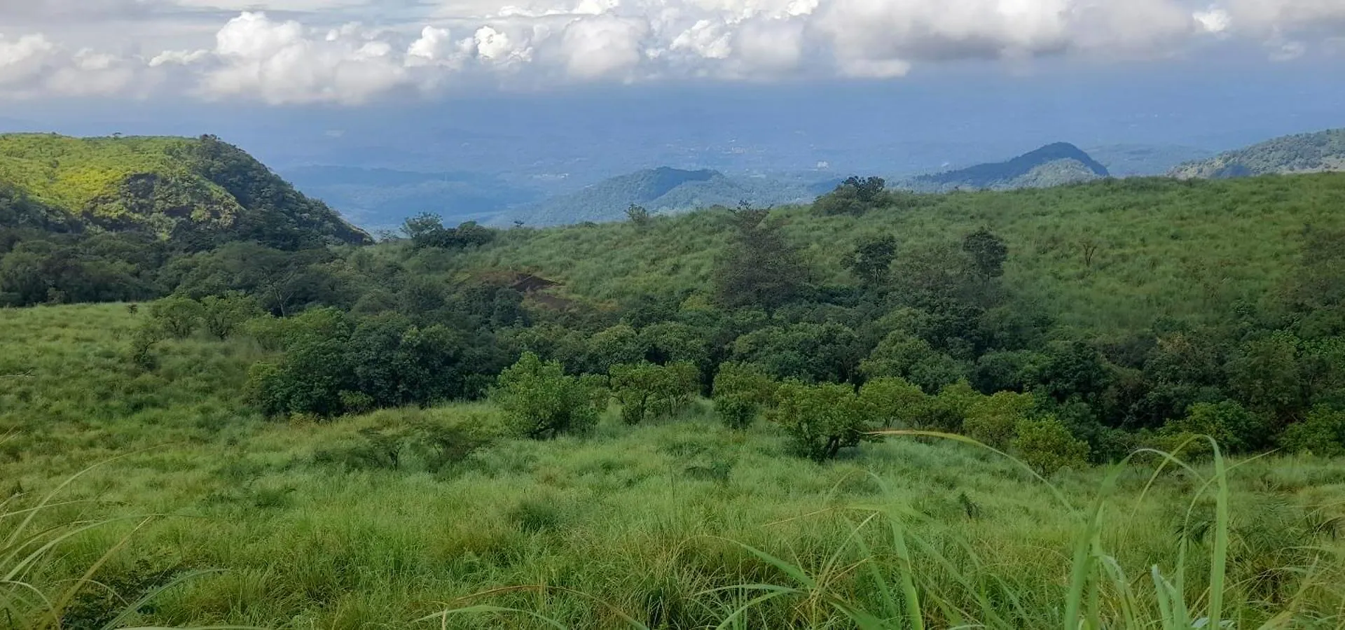 Villa Hill Garden Homestay,Vagamon India